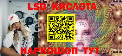 jwh Бийск