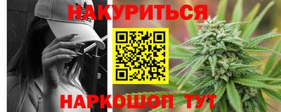jwh Бийск