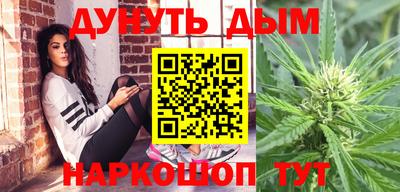 jwh Бийск