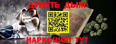 jwh Бийск