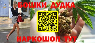 jwh Бийск