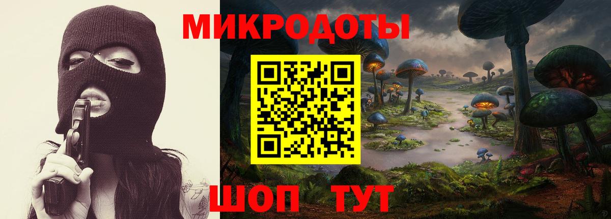 Галлюциногенные грибы Psilocybe Канаш