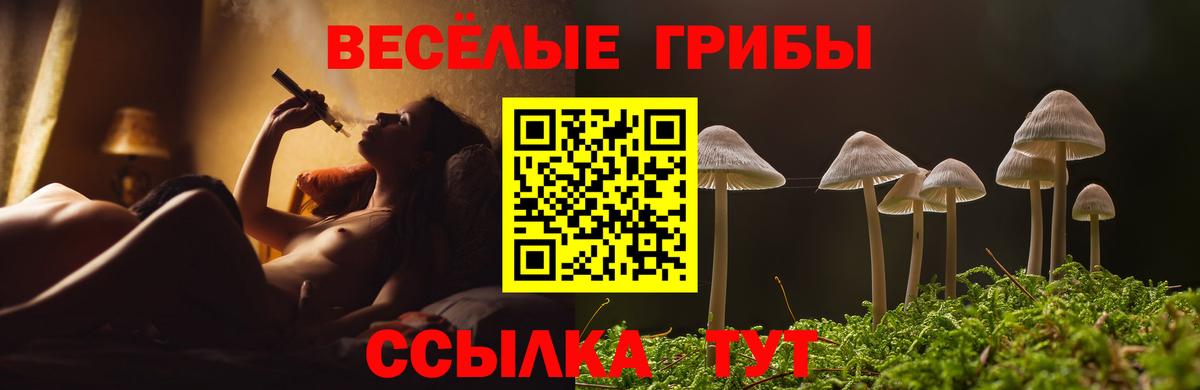 Галлюциногенные грибы ЛСД  Вход с VPN  Канаш 